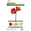 Studio light • essentials mask stencil amaryllis