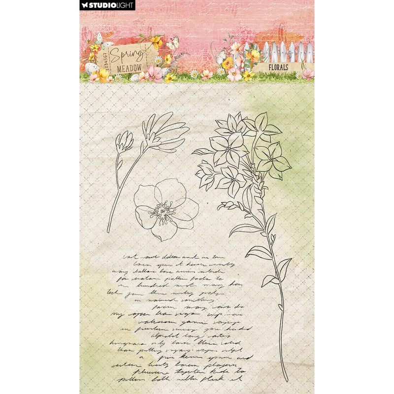 Luce da studio • fiori primaverili con timbro trasparente