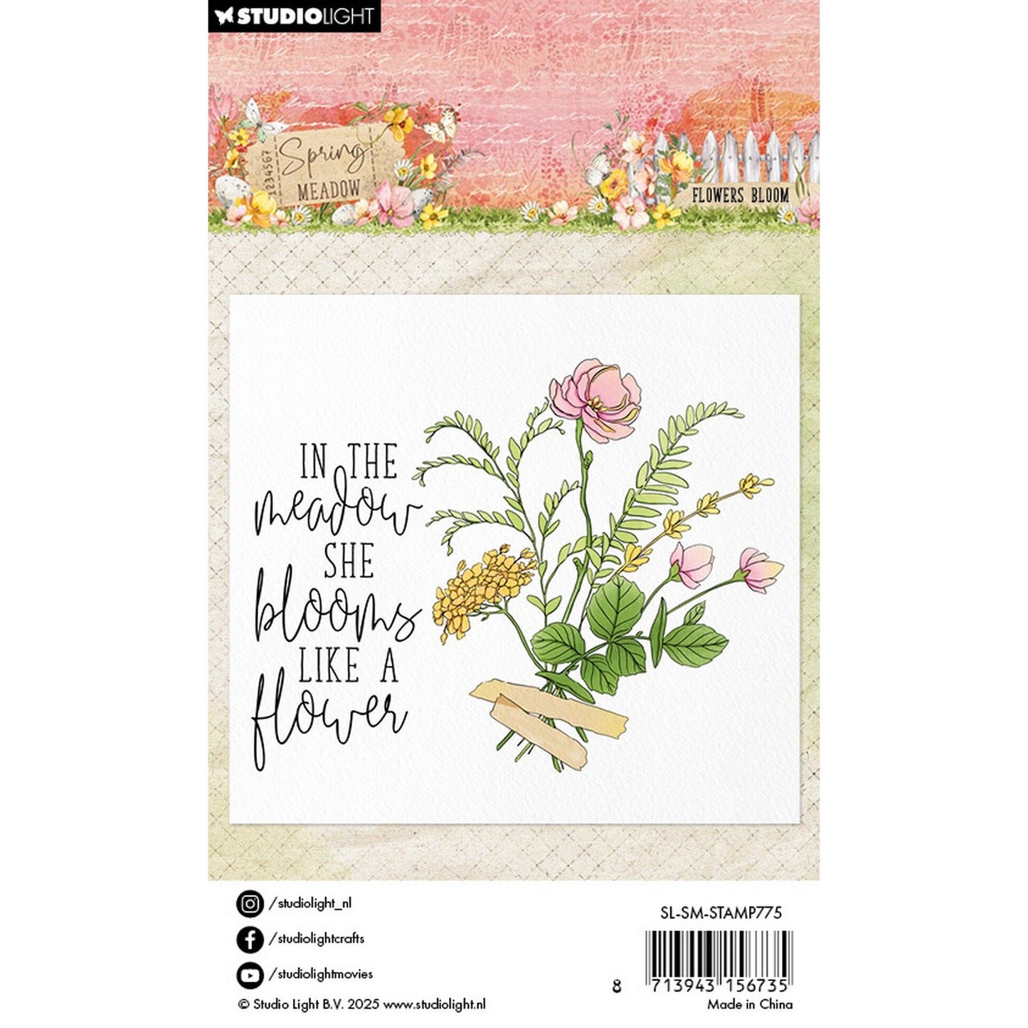 Luz de estudio • floración de flores de sello claro de prado de primavera