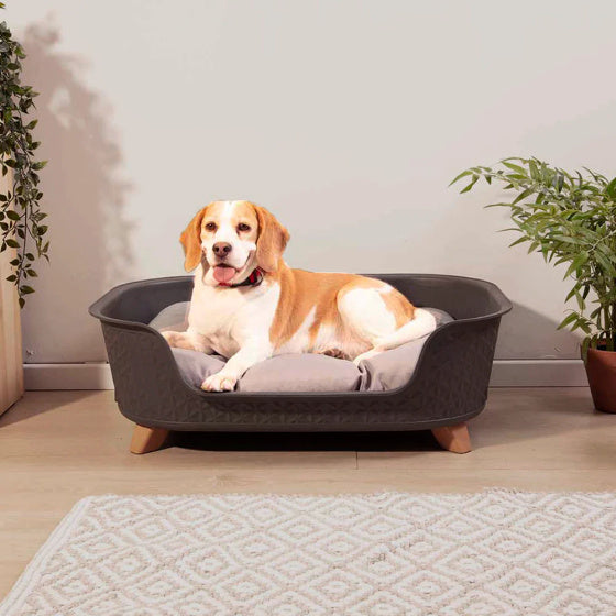 Letto per cani Starplast con elevazione 78,5 x 58,5 x 25 cm nero