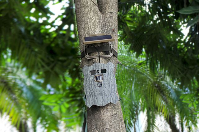 Stealth gear owl solar 4k wifi wildcamera