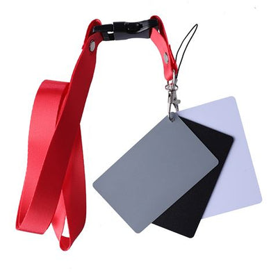 Estudio de estudios de tarjeta gris digital SKGC-31S