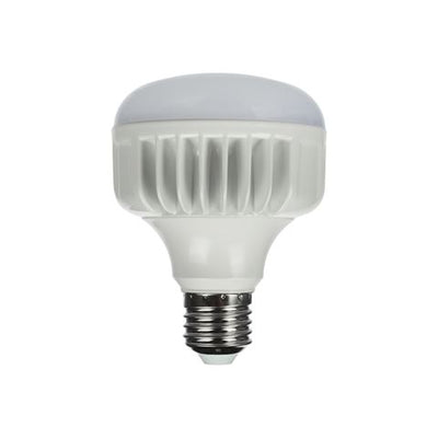 Studioking led daglichtlamp 25w e27 fled-25