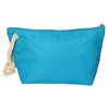 BASSO DI VIAGGIO SEA DI BAGNO DEL TAGNO, SAGGIO SOLE ARGINARE ARGINARE 30 CM X 19,5 cm