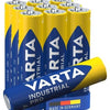 Varta DS Battery R03 Alk AAA (10)