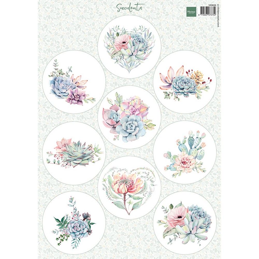 Diseño Marianne • suculentas en lámina troquelada