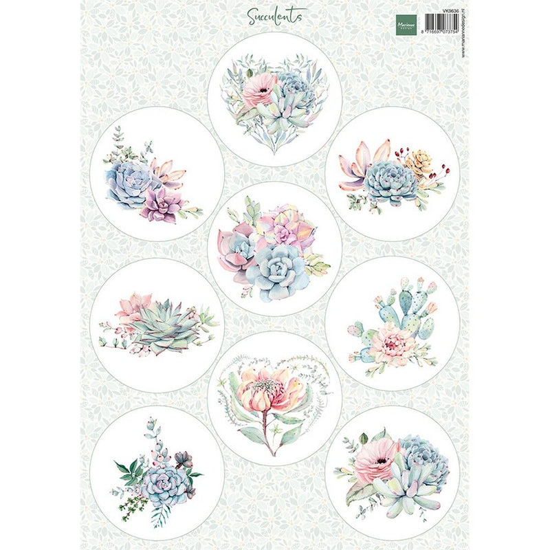 Design Marianne • piante grasse in fogli fustellati