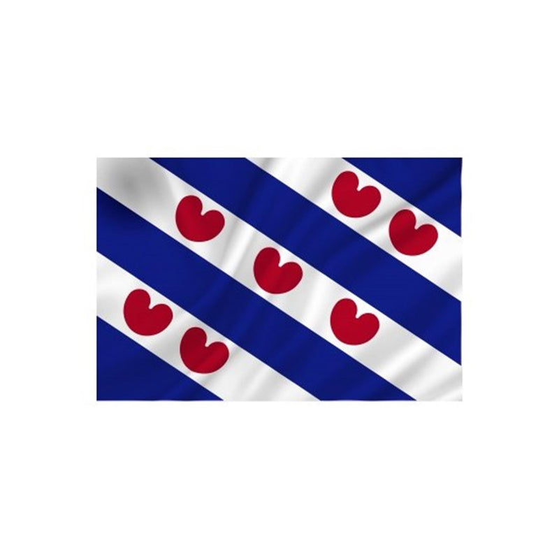 Dokkumer flags bandera central Frisia 50x75 cm spun-poly