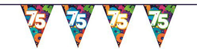 Línea bandera haza 10mtr figuras 75 años