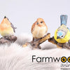 Farmwood animals tuinbeeld vogel 8,5x5x10 cm