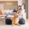 Letto per cani gonfiabili intex | medio -dimensione