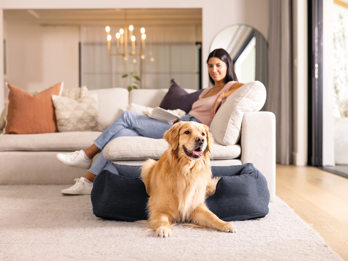 Letto per cani gonfiabili intex | medio -dimensione