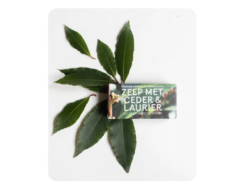 Werfzee Werf Soap Gardens Botanical Cedar Laurel