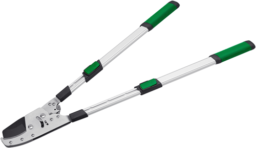 Tijeras de podar con mango telescópico Werkzeyt - wu9769700