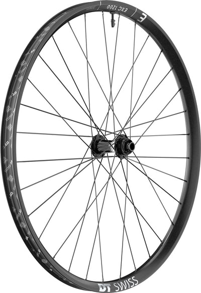 Ruota anteriore DT swiss exc 1200 classic 30 29 carbonio cl boost