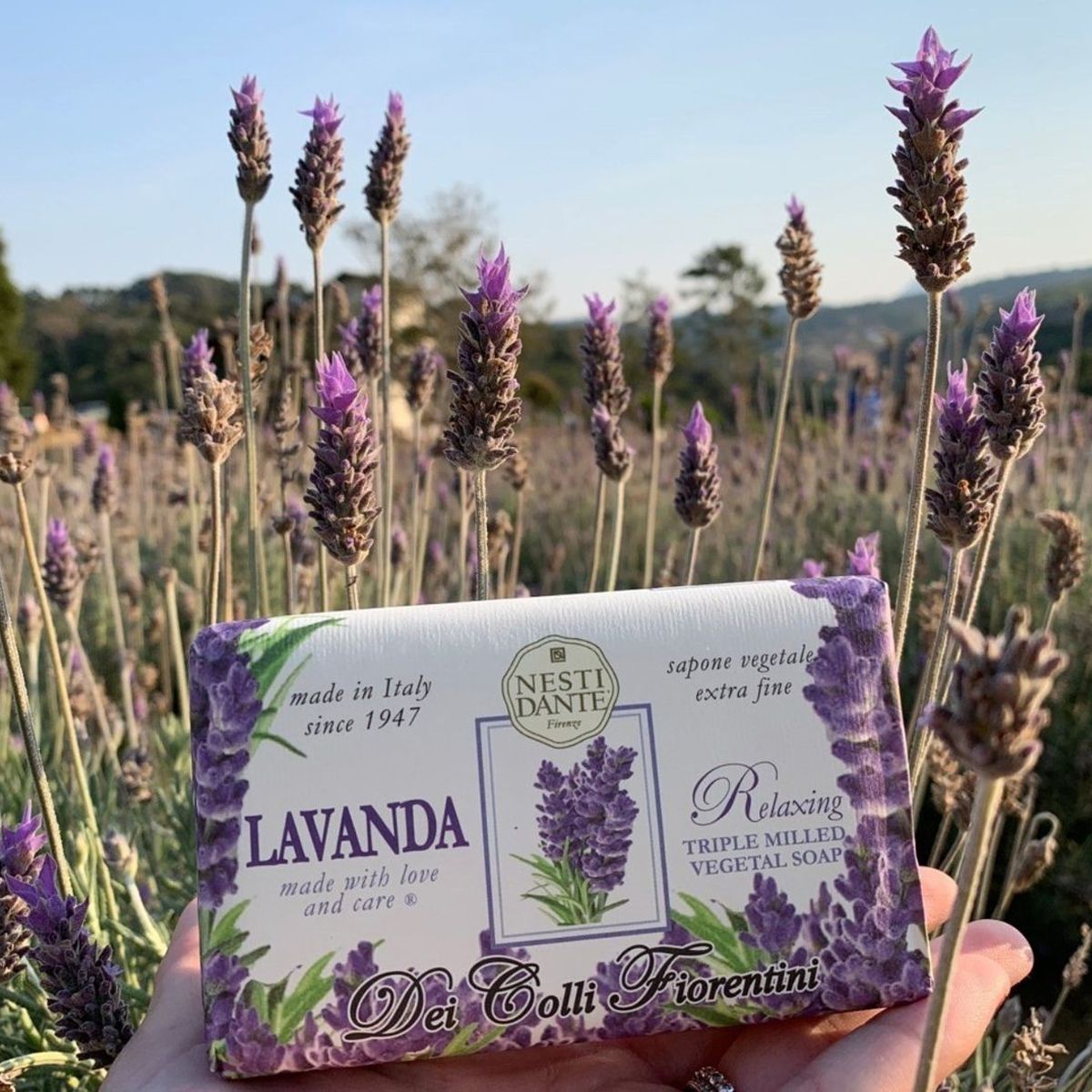 Nesti Dante Nesti Dante Fiorentini Lavanda sapone 250gr.