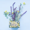 Nesti Dante Nesti Dante Lavanda Blu del Mediterraneo Sap 150GR.