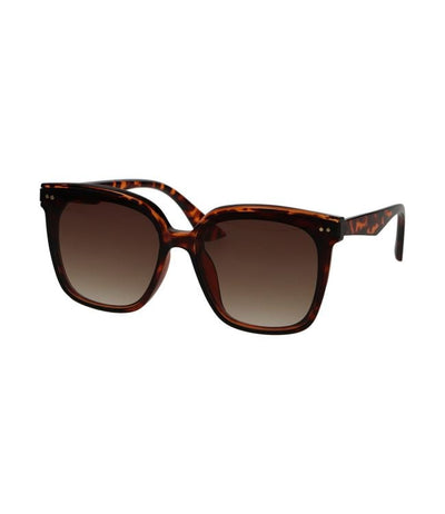 Spectrum Spectrum Gafas de sol Tortoise Declaración Chic Gradiente Brown Ladies