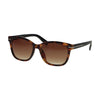 Spectrum Spectrum Gafas de sol Square Tortoise Mat Black Ladies