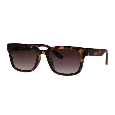 Spectrum Spectrum occhiali da sole Tartaruga Brawn Glass unisex