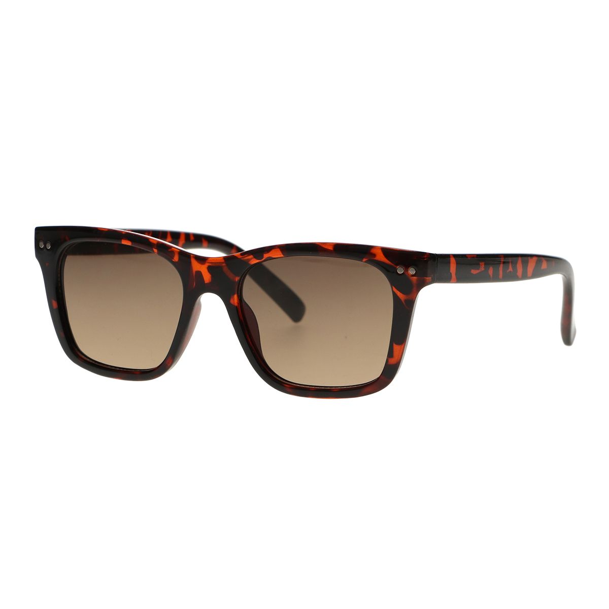 Spectrum Spectrum occhiali da sole Tartaruga Brawn Glass unisex