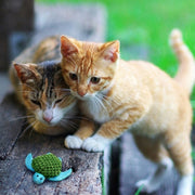 Kong Kat Katnip Turtle - afbeelding 3