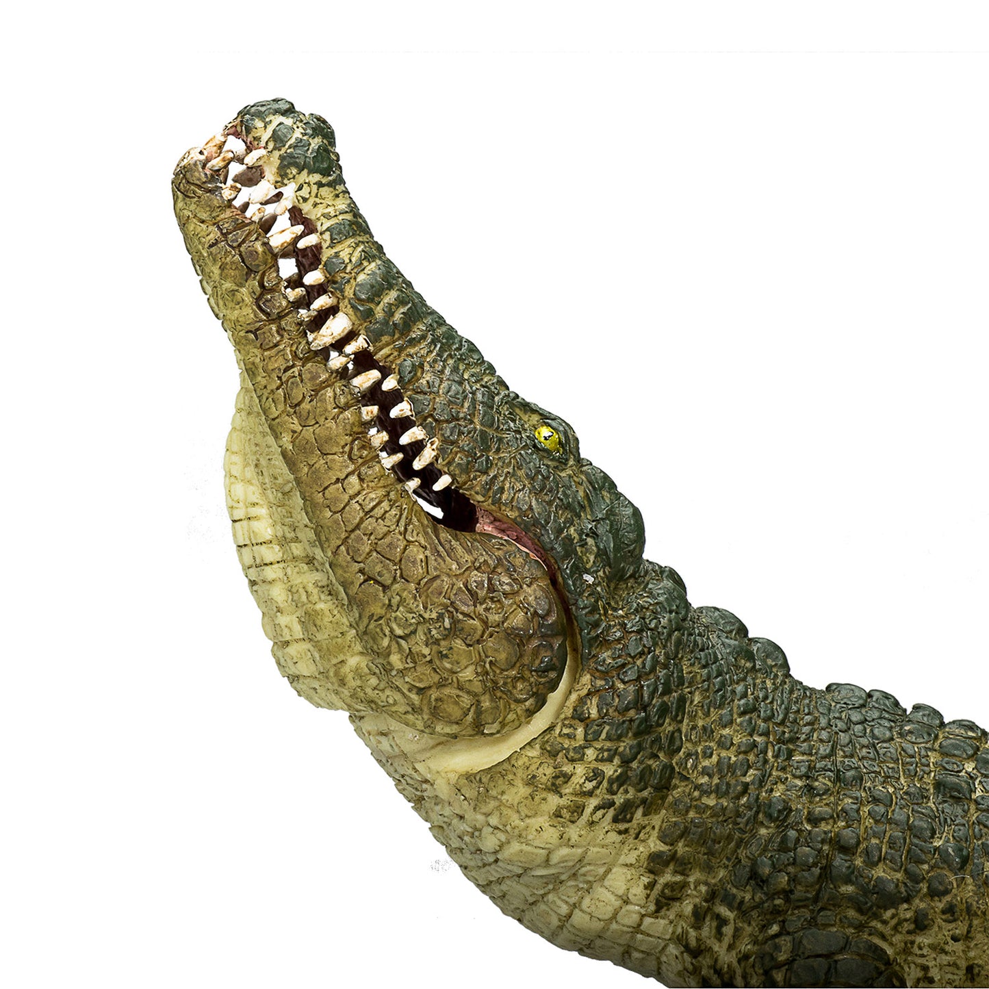 Crocodile de vida silvestre Mojo con mandíbula en movimiento 387162