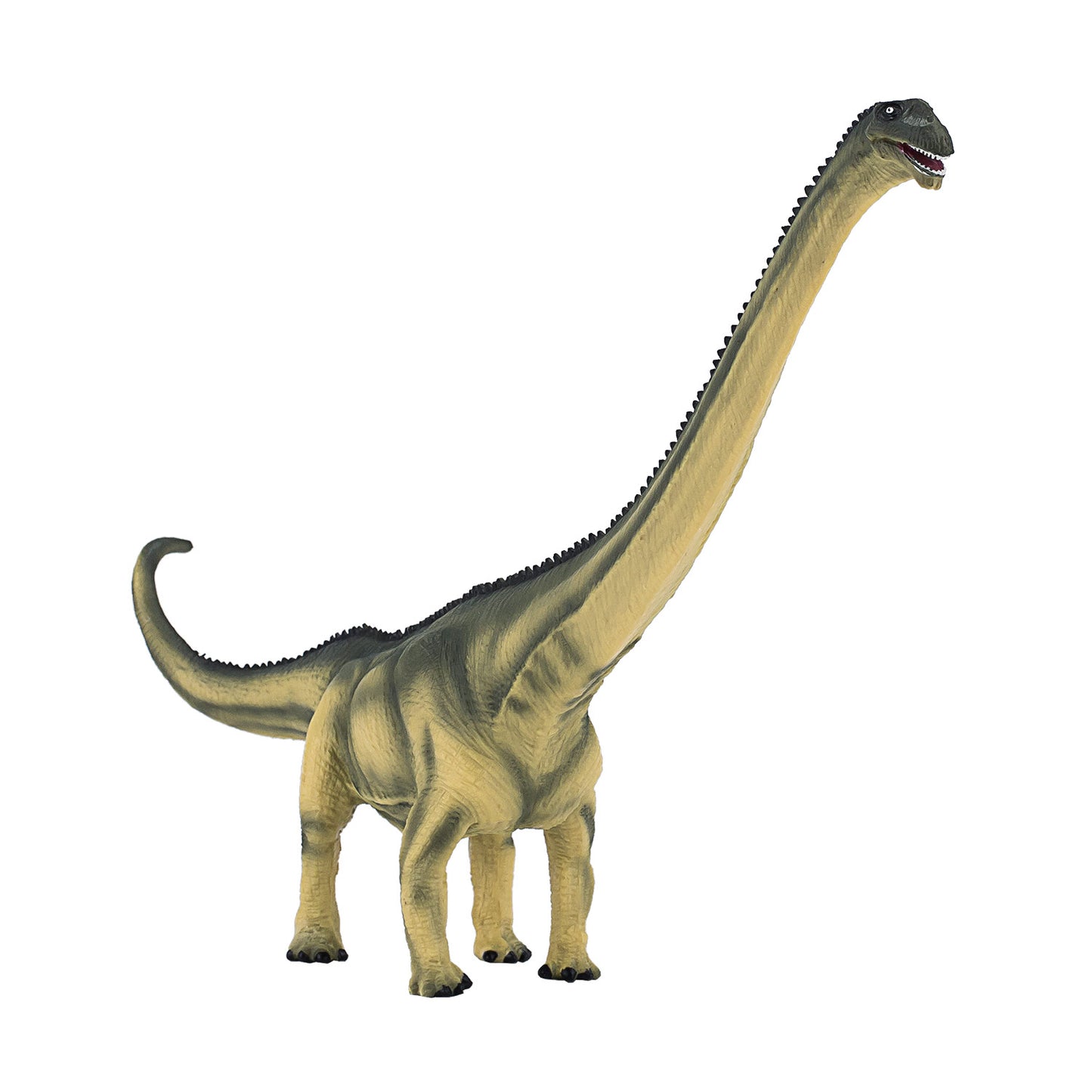 Mojo Prehistorie Deluxe Mamenchisaurus 387387