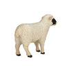 Mojo Tierras de cultivo oveja negra OOI 387058