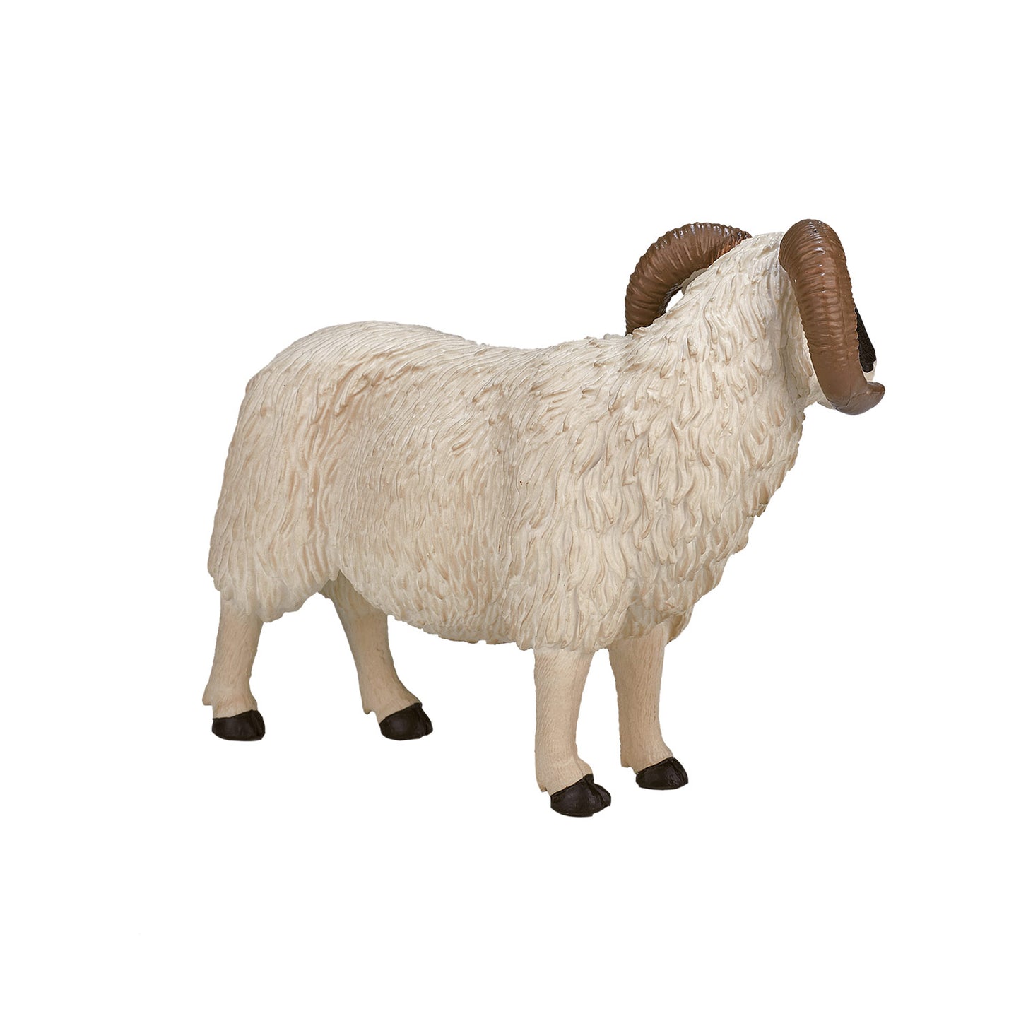 Mojo Tierras de cultivo de oveja negra Ram 387081