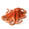 Mojo Sealfe Octopus 387275
