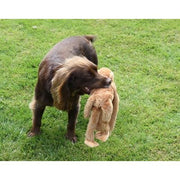 Happy pet Swinger baviaan - afbeelding 2
