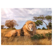 Clementoni Puzzle de Leeuwenkoning, 1000st. - afbeelding 2
