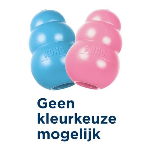 Cucciolo di kong rosa o blu.