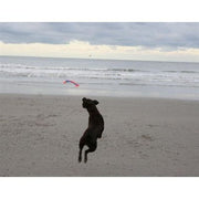 Chuckit Flying squirrel - afbeelding 3