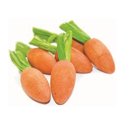 Critter's choice Carrot nibblers knaaghout