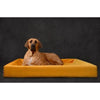 Bia BED BED ROYAL Velvet Hoes per cestino per cani OKER