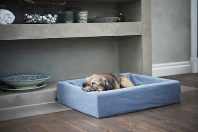 Zappe di cotone a letto bia per cesto di cane blu