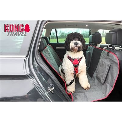 Kong Car Sign 2-in-1