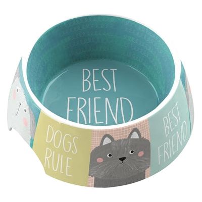 Tarhong Food Bowl Best Friends Forever Melamine Multi