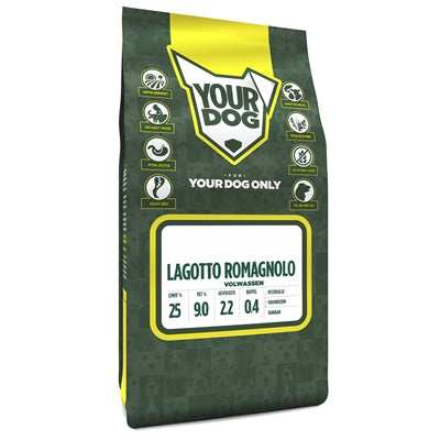 Yourdog Lagotto Romagnolo maduro