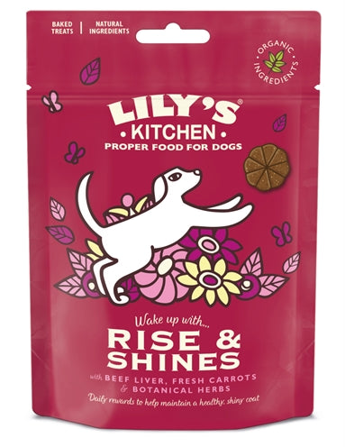 Lily's Kitchen Dog Rise Shine Shine Delf