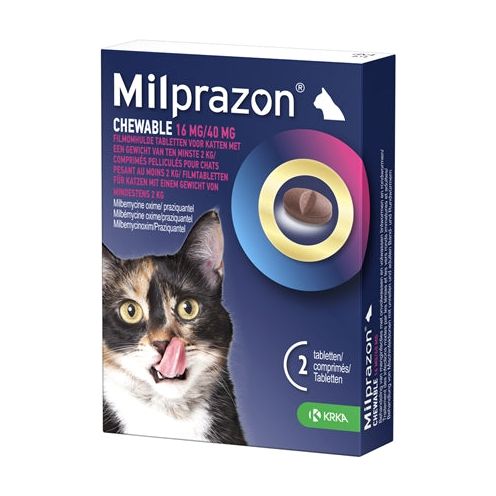 Krka Milpazon masticando tabletas wormingstablets gato