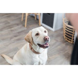 Trixie Halsband hond boho extra breed met ruit karamel - afbeelding 4
