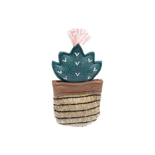 Fofos cactus toluca