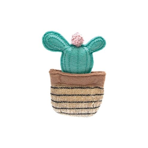 Fofos Cactus Cancún