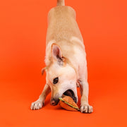 Outward hound Xtreme seamz leeuw - afbeelding 3