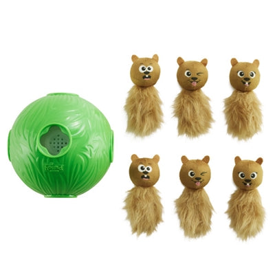 Perra de caza de perros hacia afuera n 'trato ball green