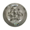 Happy Pet Mad per gli animali domestici che alimentano Cactus Cactus Slow Feeder Mokka
