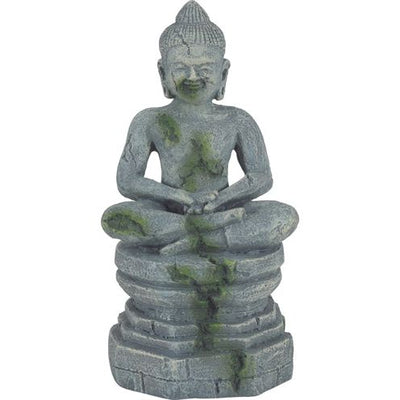 Zolux Ornament Buddha sul pilastro